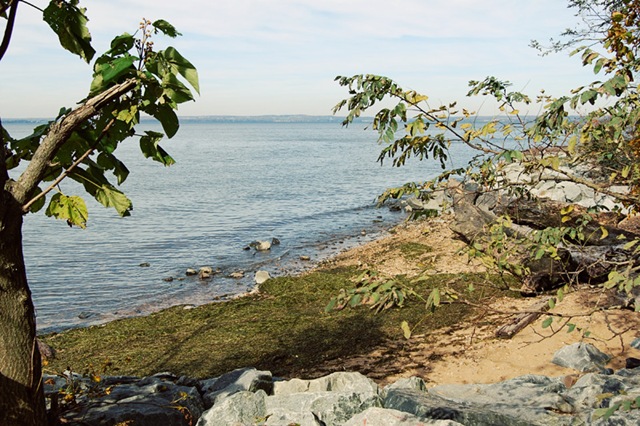 [DSC_0602 copy 2[4].jpg]